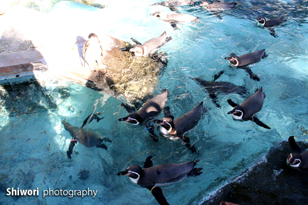 甥っ子動物園へ_d0170980_22261566.jpg