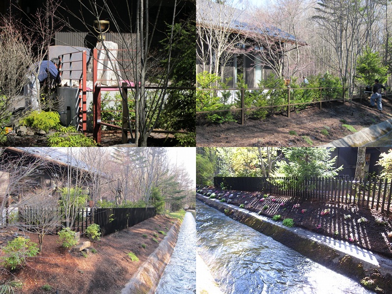 今年を振り返る…_d0133485_134442.jpg