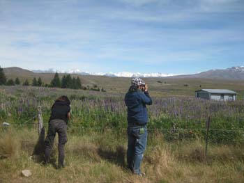 Road to Mt. Cook_f0177489_1214253.jpg