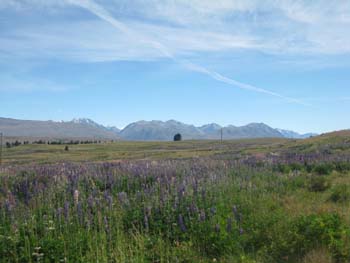 Road to Mt. Cook_f0177489_12142781.jpg