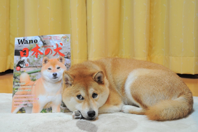 かぼす家の、2010年10大ニュース!!_a0126590_7585086.jpg