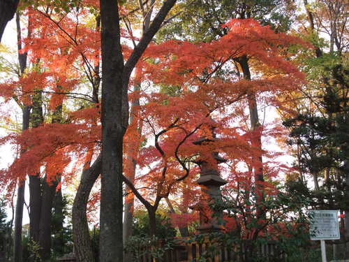 ちゃらぽこ散歩会その４　おそっさまは東高円寺なのか。_b0151192_22504686.jpg