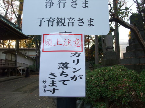 ちゃらぽこ散歩会その４　おそっさまは東高円寺なのか。_b0151192_2254663.jpg