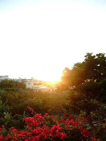 a0118493_2332637.jpg