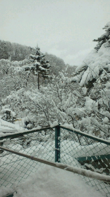 a0159393_914456.jpg