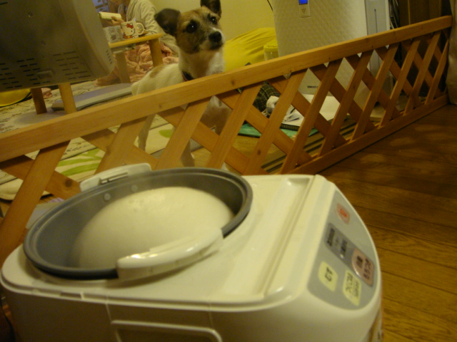 c0191597_2164318.jpg