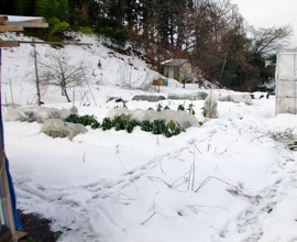 c0151898_1254936.jpg