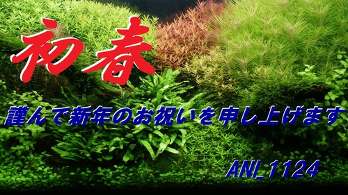 a0183301_1642108.jpg