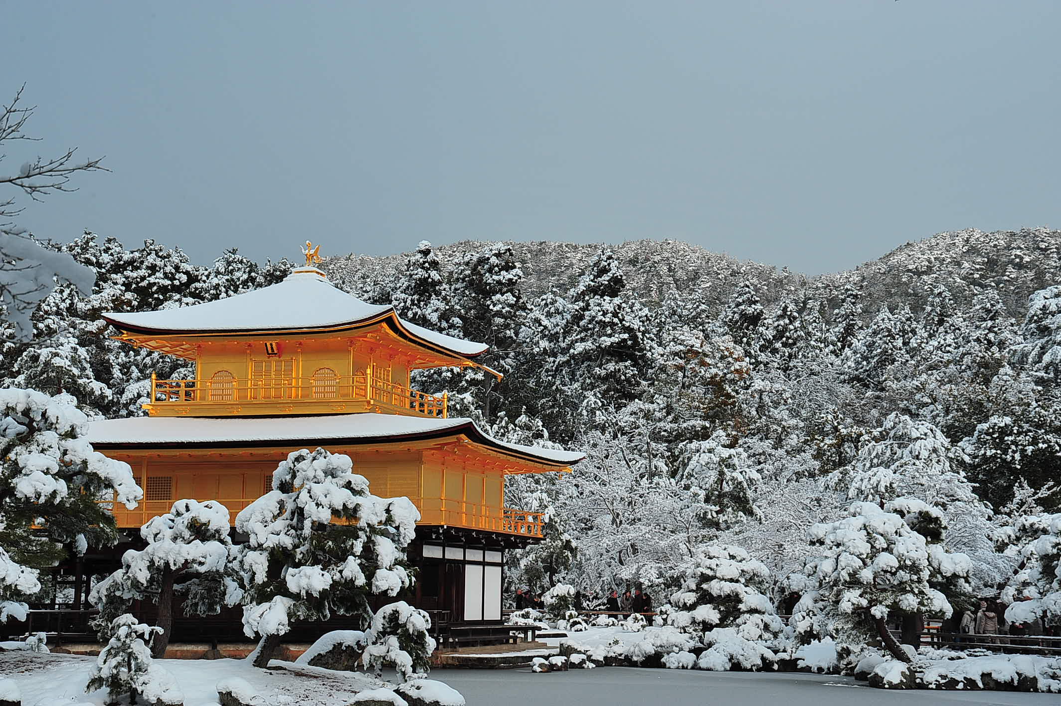 京都冬景色2011・金閣寺_d0182403_17164375.jpg