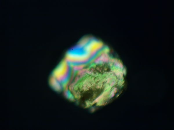 c0164709_81010.jpg