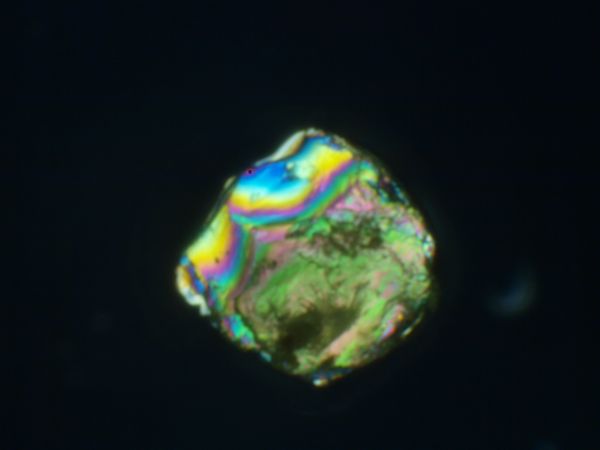 c0164709_81770.jpg