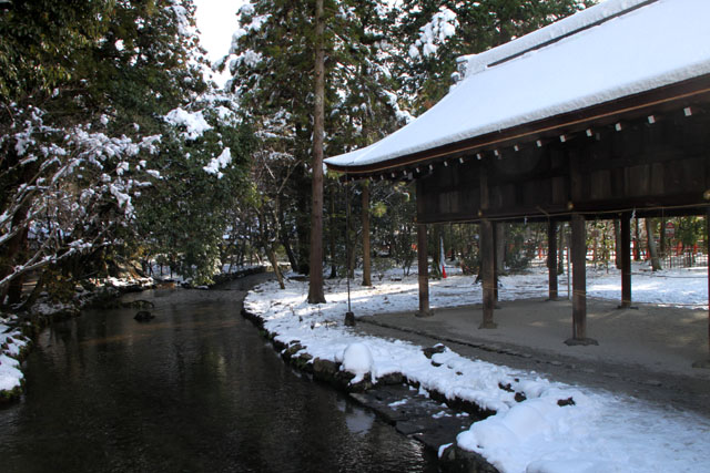 初詣　上賀茂神社_e0048413_20533641.jpg