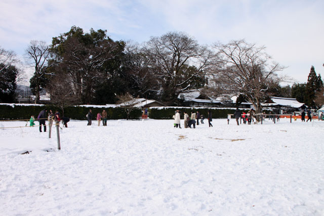 初詣　上賀茂神社_e0048413_20534962.jpg