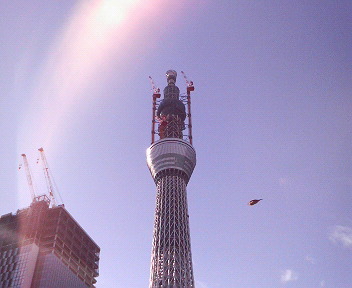 f0053218_19332647.jpg