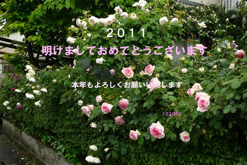 ２０１１年始まりました♪_f0059818_02563.jpg