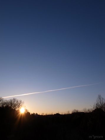 e0171120_84988.jpg
