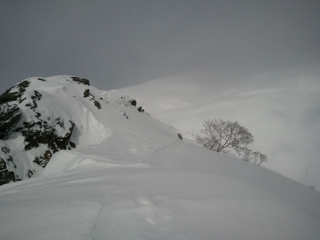b0062024_519491.jpg