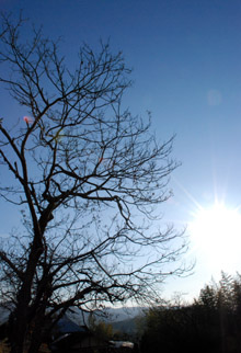 e0103024_1513503.jpg