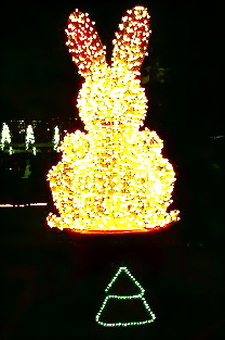 happy new year_a0168628_16294632.jpg