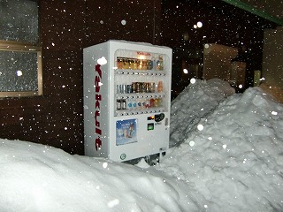 あけましておめでとう!!_b0206037_1823753.jpg