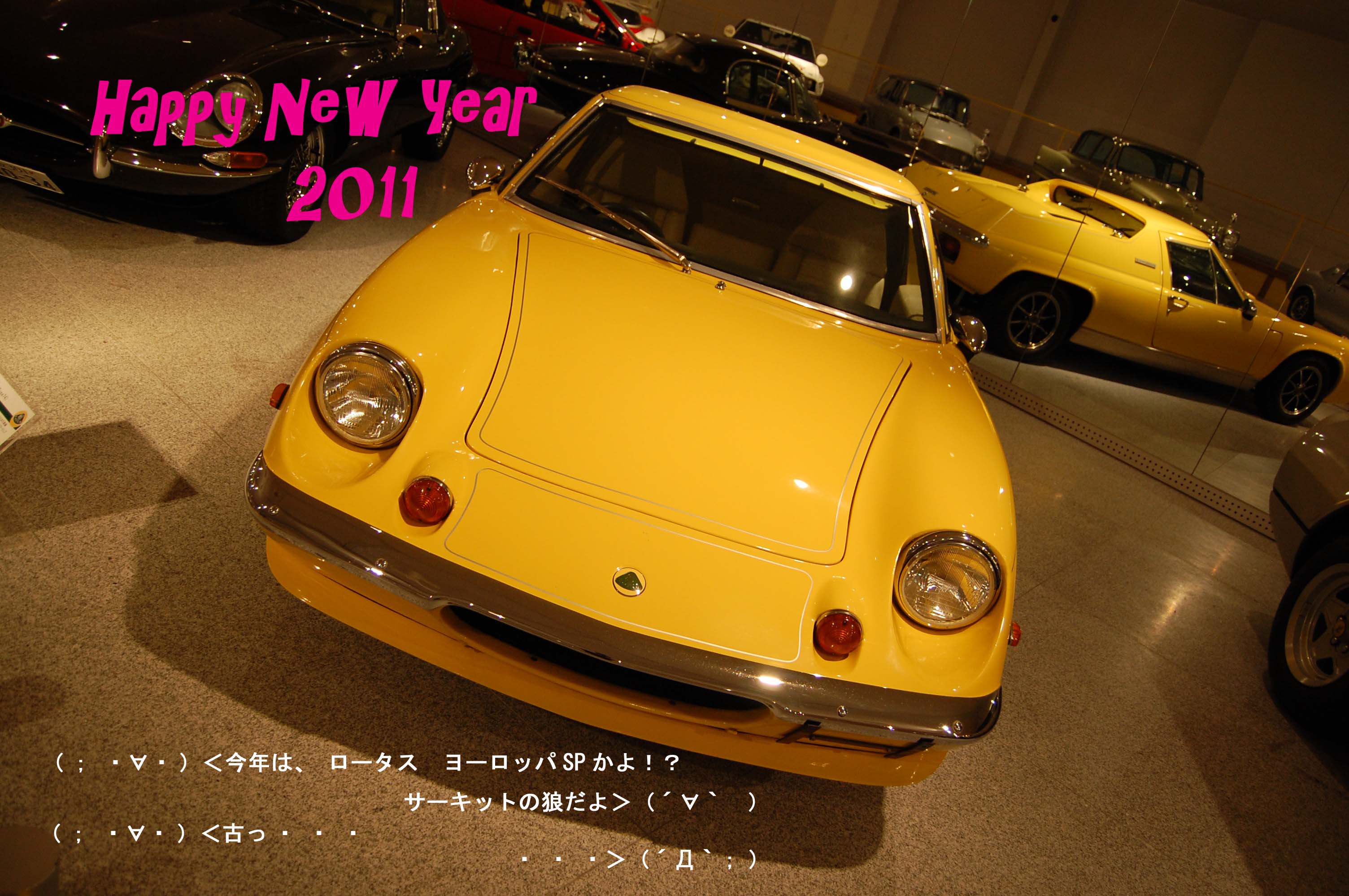 ２０１１年になりました_e0053740_031399.jpg