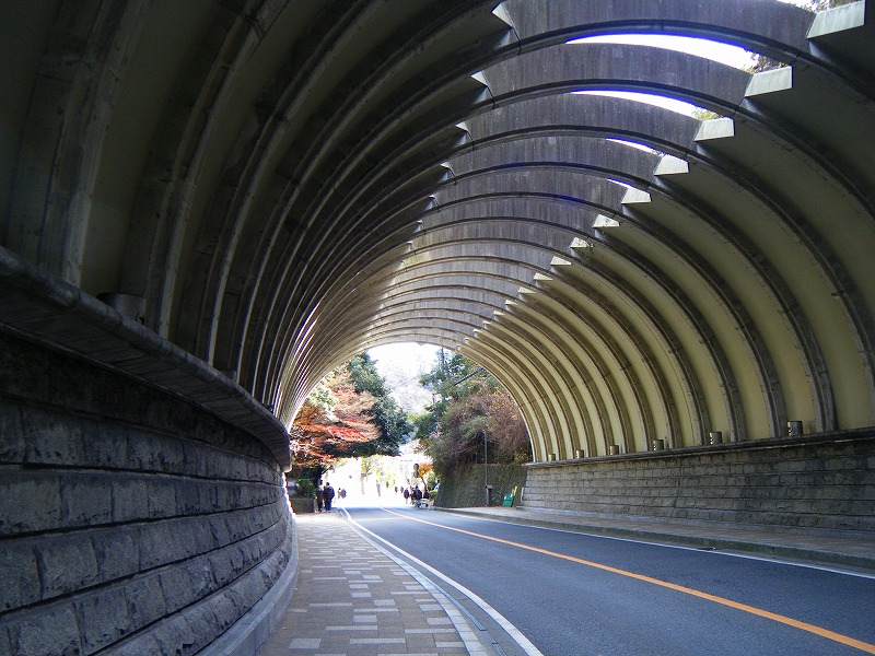 e0023643_2139914.jpg