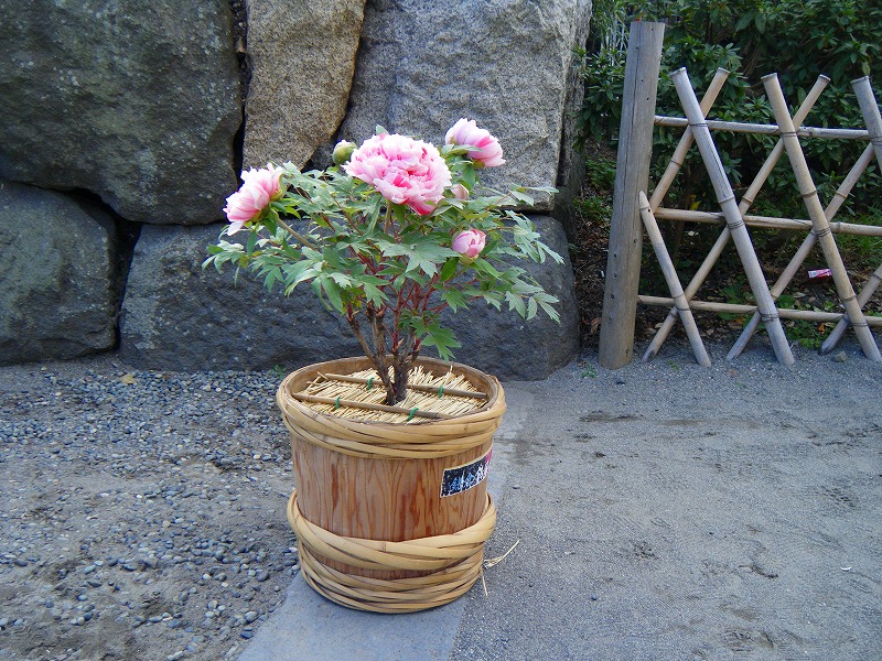e0023643_21481816.jpg