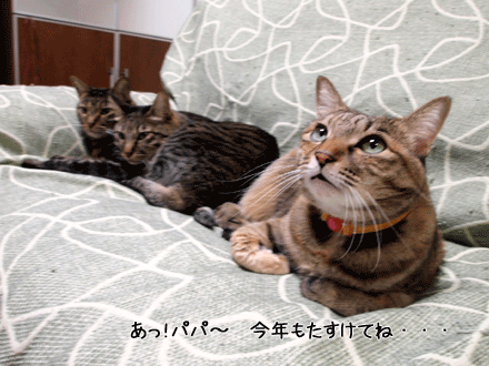 f0116546_044286.gif