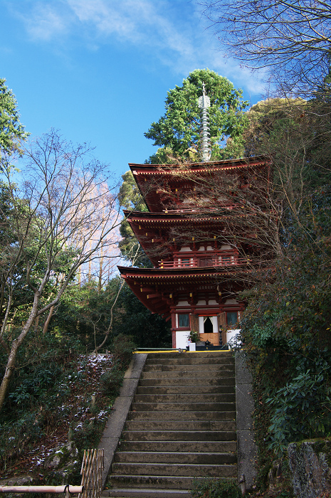 南山城の古寺の雪景色(浄瑠璃寺・岩船寺)_f0155048_23101357.jpg