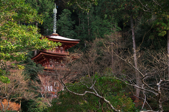 南山城の古寺の雪景色(浄瑠璃寺・岩船寺)_f0155048_23101991.jpg