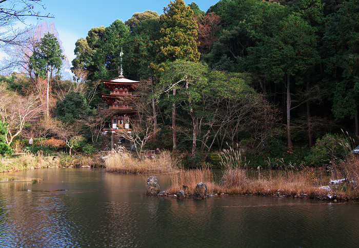 南山城の古寺の雪景色(浄瑠璃寺・岩船寺)_f0155048_2310213.jpg