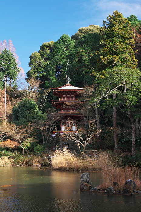 南山城の古寺の雪景色(浄瑠璃寺・岩船寺)_f0155048_23103787.jpg