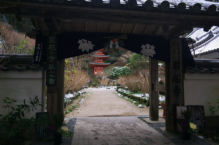 南山城の古寺の雪景色(浄瑠璃寺・岩船寺)_f0155048_23112170.jpg