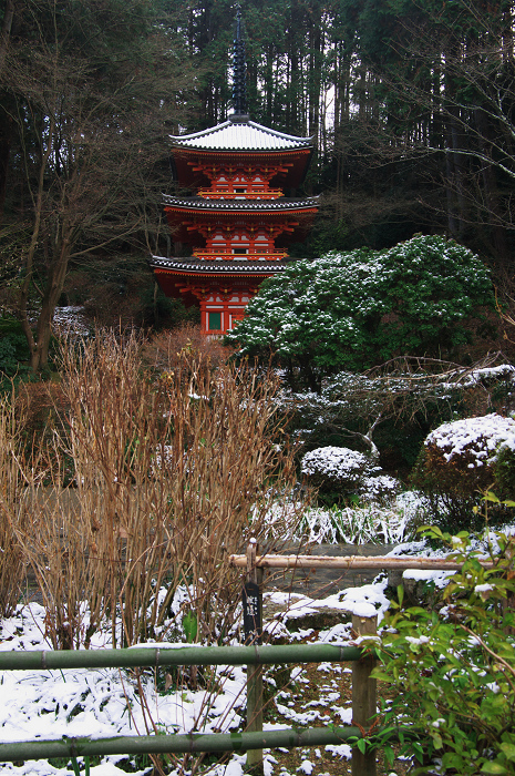 南山城の古寺の雪景色(浄瑠璃寺・岩船寺)_f0155048_23122256.jpg