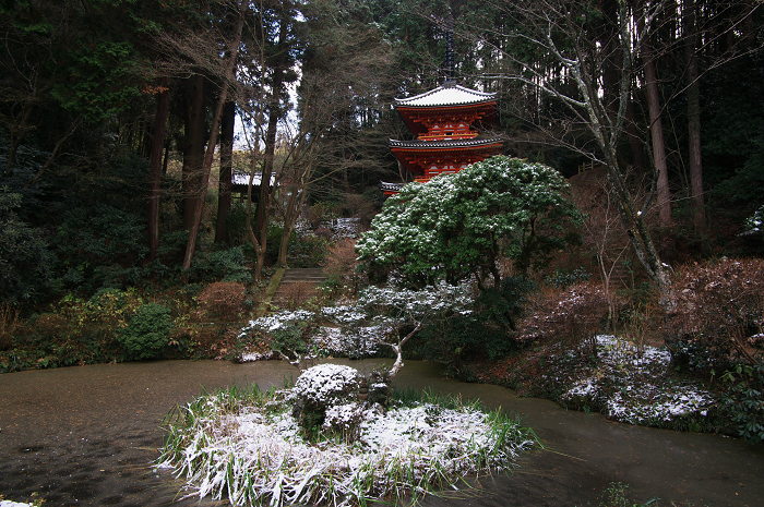 南山城の古寺の雪景色(浄瑠璃寺・岩船寺)_f0155048_23125578.jpg