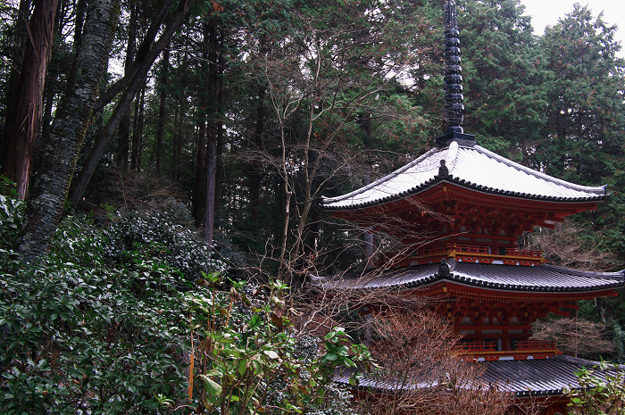 南山城の古寺の雪景色(浄瑠璃寺・岩船寺)_f0155048_23125717.jpg