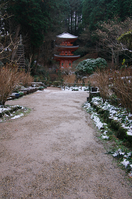 南山城の古寺の雪景色(浄瑠璃寺・岩船寺)_f0155048_2312948.jpg