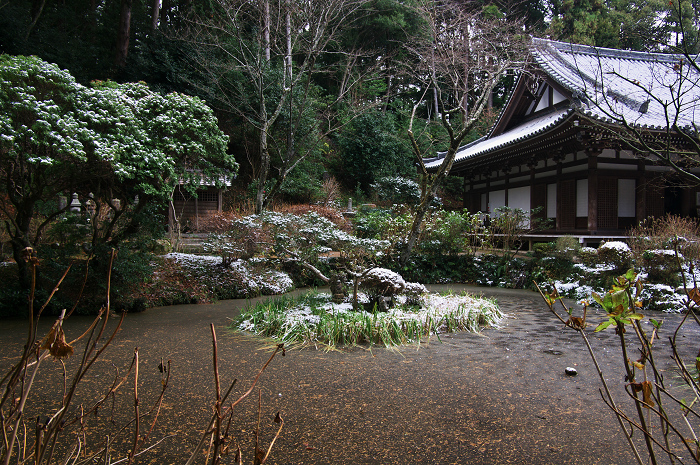 南山城の古寺の雪景色(浄瑠璃寺・岩船寺)_f0155048_23151425.jpg