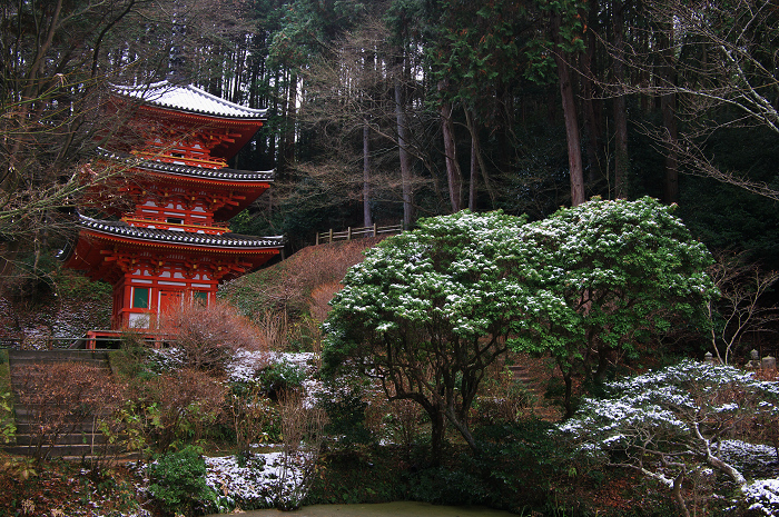南山城の古寺の雪景色(浄瑠璃寺・岩船寺)_f0155048_23152840.jpg