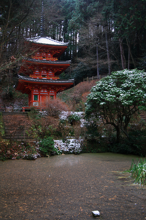 南山城の古寺の雪景色(浄瑠璃寺・岩船寺)_f0155048_23161630.jpg