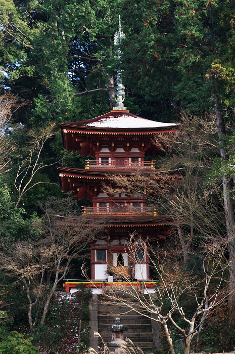 南山城の古寺の雪景色(浄瑠璃寺・岩船寺)_f0155048_2345517.jpg