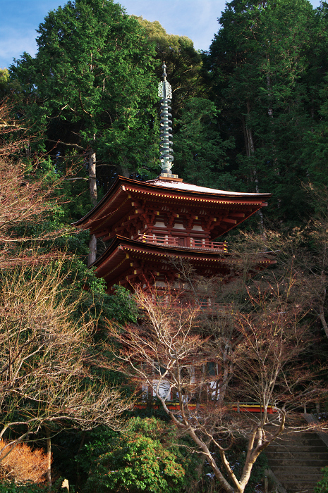 南山城の古寺の雪景色(浄瑠璃寺・岩船寺)_f0155048_23853100.jpg
