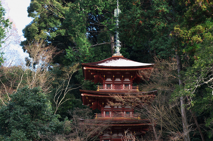 南山城の古寺の雪景色(浄瑠璃寺・岩船寺)_f0155048_2395989.jpg