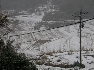 e0150250_170228.jpg