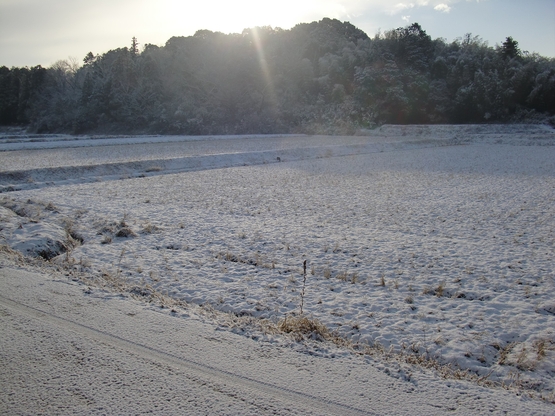 e0064457_21585447.jpg