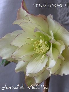 e0118257_20581525.jpg