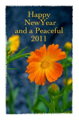 2011, year of peace !!_c0157558_062375.jpg