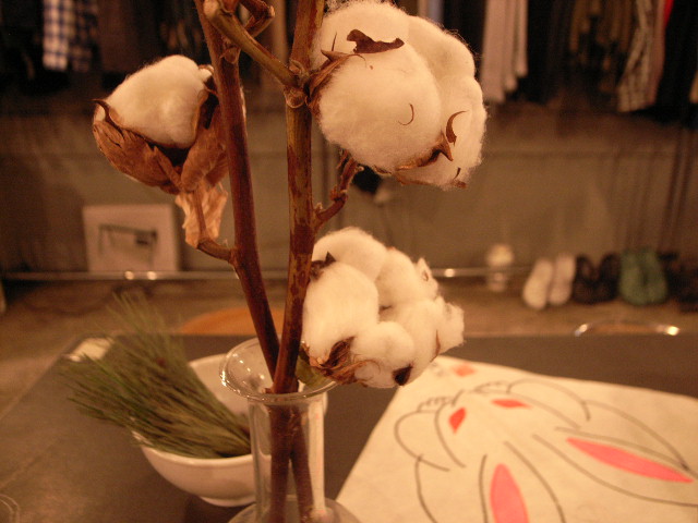 \"2011 元日\"ってこんなこと。_c0140560_1215689.jpg