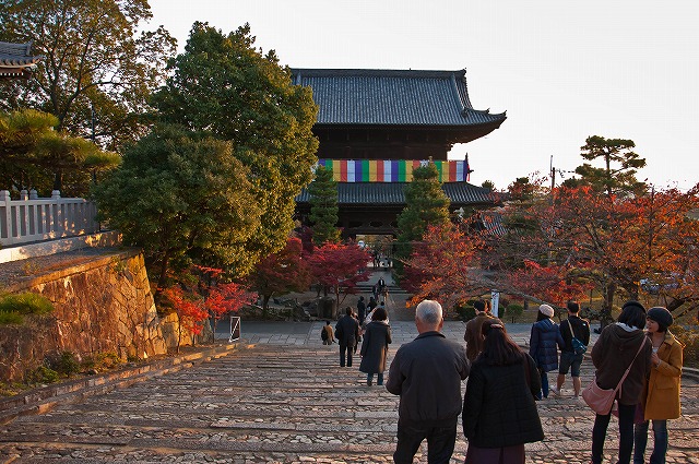 2010年秋の京都～真如堂編～_e0209962_222142.jpg