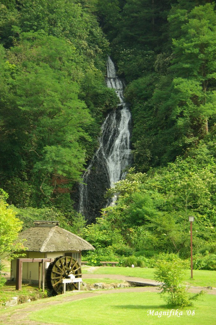 オプショナルツアー/Optional Tour to 十和田湖・Lake Towada_e0140365_21522165.jpg